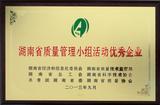 湖南省质量管理小组活动优秀企业